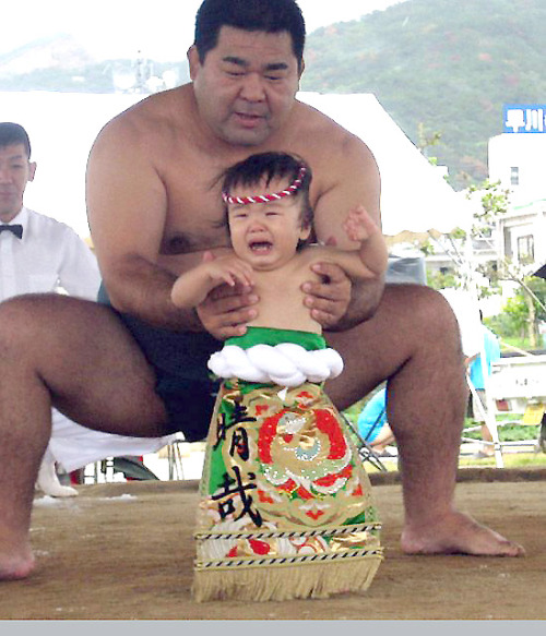 稚児土俵入り - 古仁屋, 瀬戸内, 奄美大島, 鹿児島Baby sumo ring debut ceremony - Koniya, Setouchi, Amami Ōshima, Kagoshim