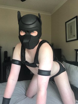 illburymybone:  I got new gear! It’s for when Pup Marco needs to be a little more… aggressive.  🐺  