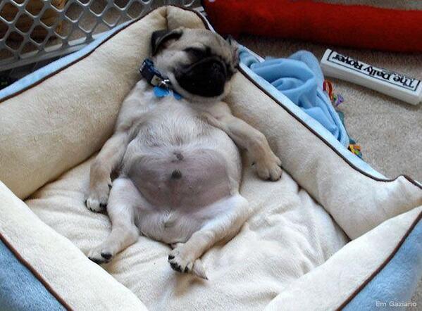 Getting home from a long day like