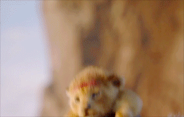 Search The Lion King