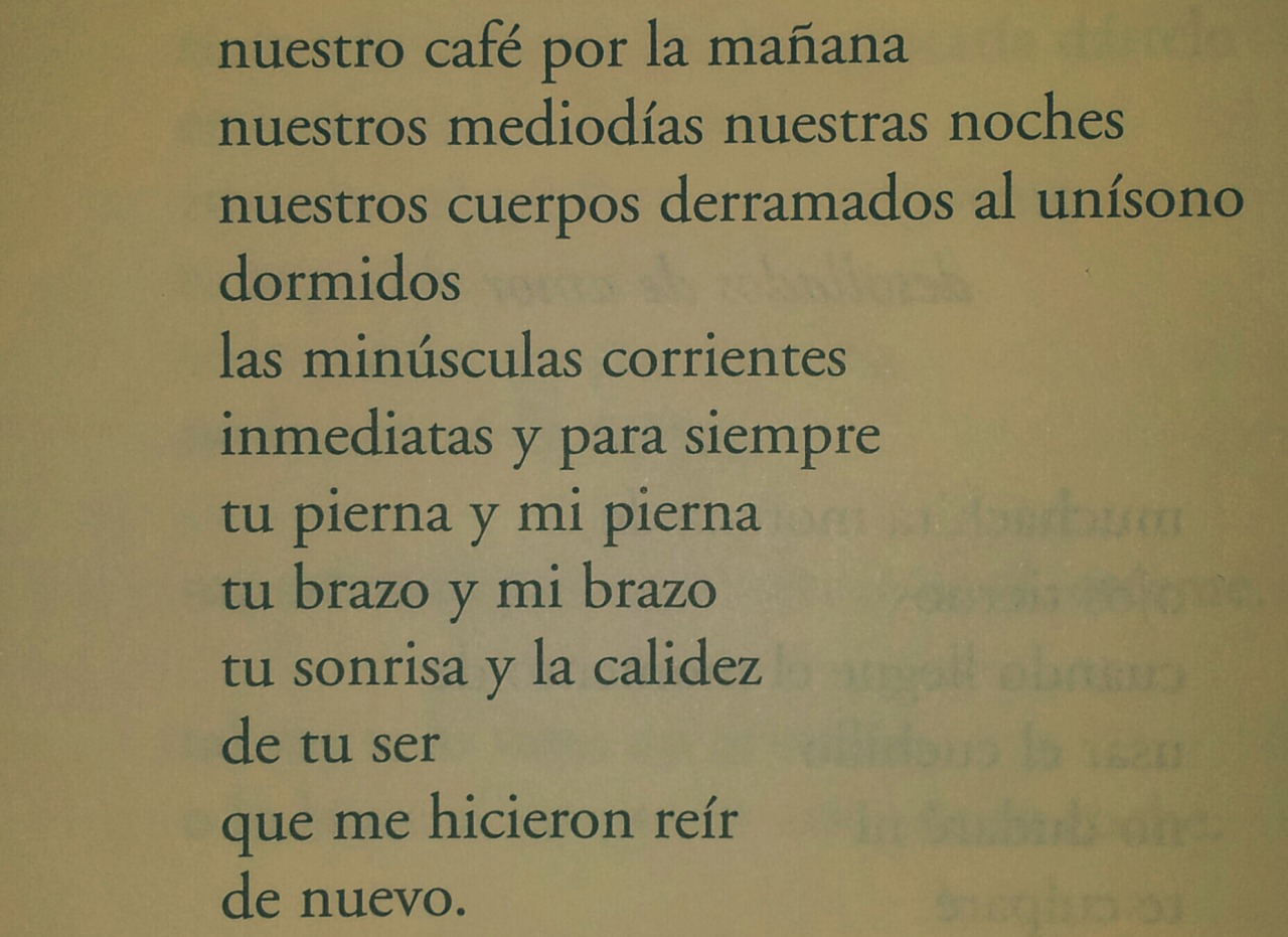 eljujeniodeletras:  Charles Bukowski 