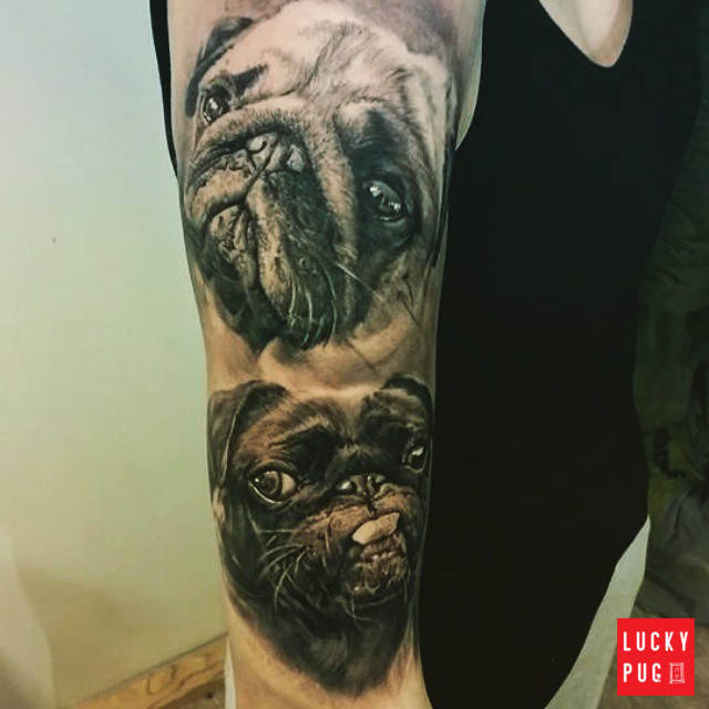 luckypugtattoos:  Arm Pug Tattoo on Tia Talvitie from Finlandwww.luckypug.com