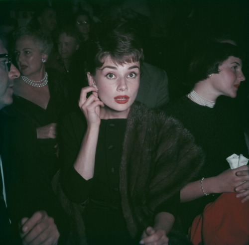 ourfairlady:  Audrey, circa 1955. 