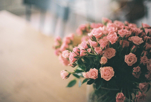 emicatery:  rose by between_vi on Flickr.