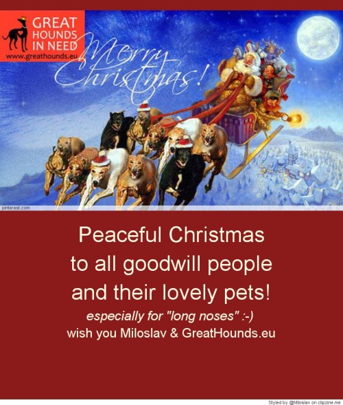 3D wallcovering prints * Peaceful Christmas to all goodwill peopleand their lovely pets!especially f