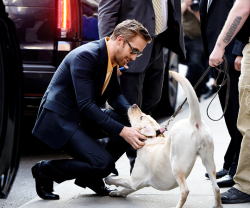 delevingned:  Ryan Gosling arrives at The Late Show with Stephen Colbert in NYC