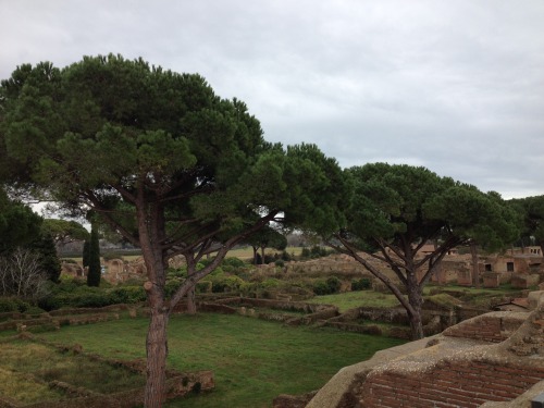didoofcarthage:Looking down on Ostia Antica. 