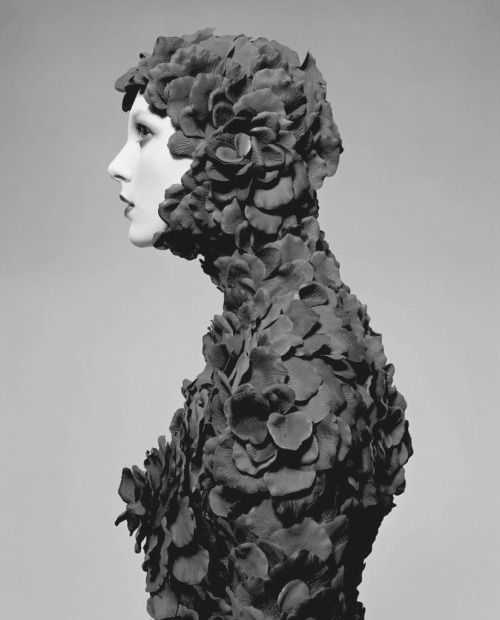 dansunevillemorte:Rose Petal Suit by Geof Kern