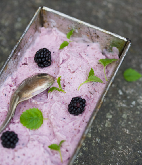 theblackvegan:  Vegan Fig, Coconut, and Blackberry Ice Cream