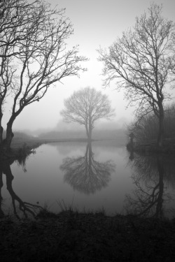 stephenmcnallyphotography:  Misty foggy cold morning  Natures breath slowly rises  Reflection ripples  Lyme and Wood countryside park Newton le Willows  