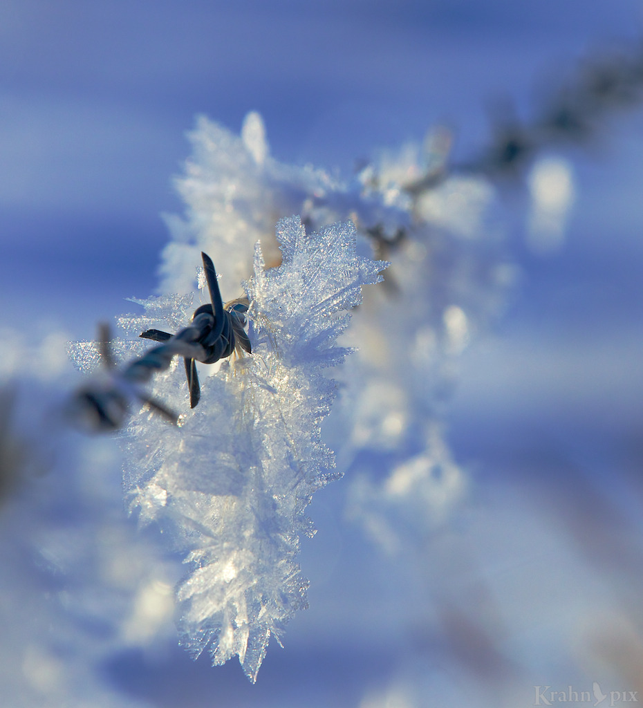krahnpix:  Check out my best landscapes for the year.  