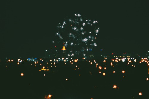 otariidaes:  4th of july | miami, florida 