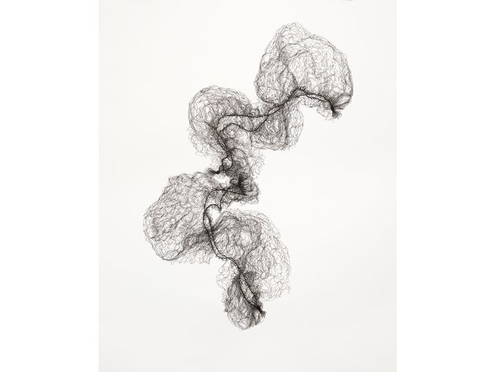 7knotwind:  Susie MacMurray | +hairnet drawings 