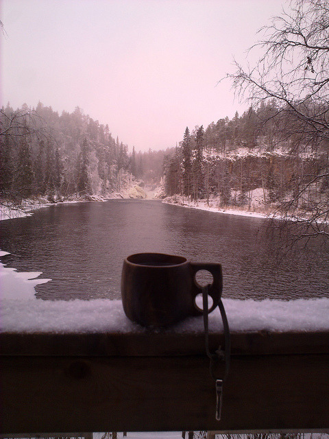 moonandtrees:  20.11.2010 | Flickr - Photo Sharing! on We Heart It - http://weheartit.com/entry/48565419/via/aquaminttea