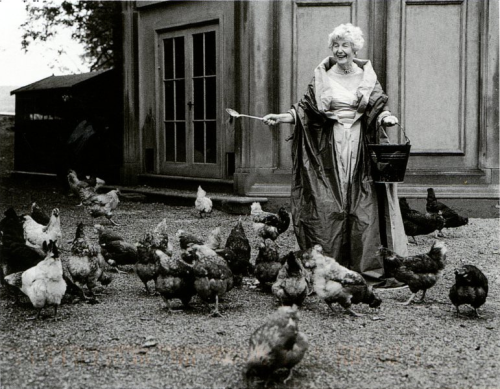 The Duchess of Devonshire feeding her chickens by Mary.