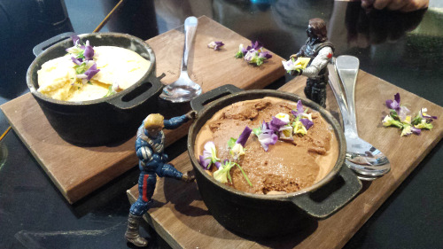 tinybuckylife:Tiny Bucky and Steeb visit a Fromagerie to have some cheese fondue!And baked brie.And 