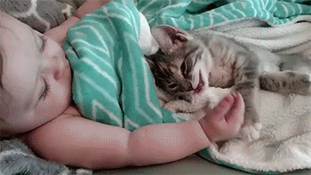 sizvideos:  Baby and her kitten waking up after a nap