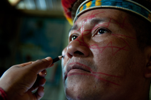South America (Ecuadorian and Peruanian Amazon) : Secoya people