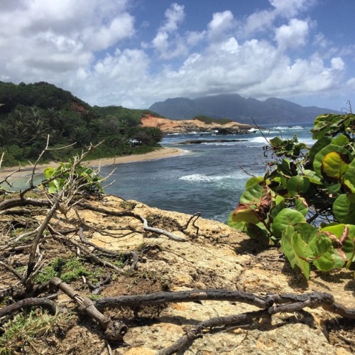 Dominica has so many amazing vistas. Snoop and I check out the north east coast near Calibishie. Win