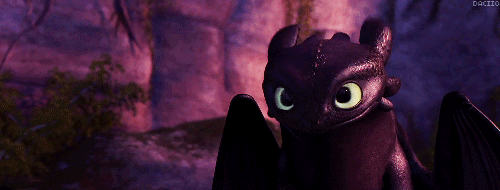   Every time I watch the scene from the first and last gif, and I see the happiness on Toothless and Hiccup’s faces, it makes me cry. And I’ll tell you why:  No matter what Hiccup said or how hard he tried to be accepted, no one ever heard him.