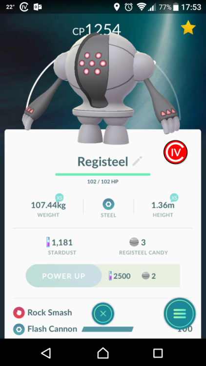 I FINALLY CAUGHT A REGISTEEL ON THE LAST DAY BEFORE HE GOES AWAY!I went all the way to fucking Strat