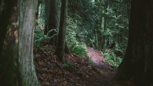 How To Find A New Path by John Westrock on Flickr.