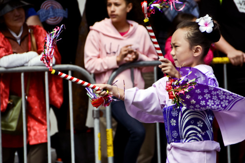 cherry blossom festival