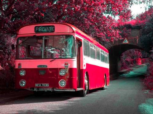 Old Daimler Bus