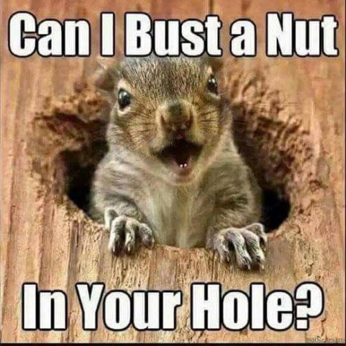 1bigbelle: primwrose:   msexplorer:  Lmao   😂   😂😂😂 