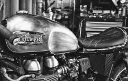 Triumph Bikes