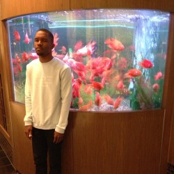 c0tched:   #frank aquarium   😍