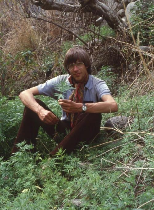 aiiaiiiyo:  My dad in Nepal right after they opened the border in the 80s with some weed plants Check this blog!