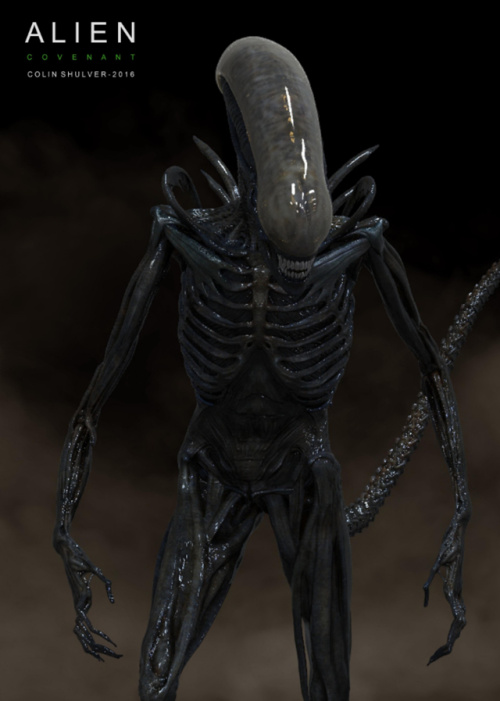 everything-alien-and-predator:Protomorph Concept Art for Alien: Covenant