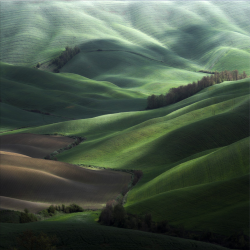 robert-hadley:  Tuscany by Marcin Sacha 