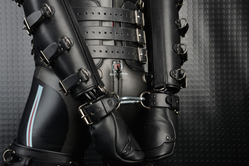 diveslave