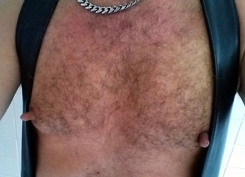 https://nipplepigs.tumblr.com/post/141031849695