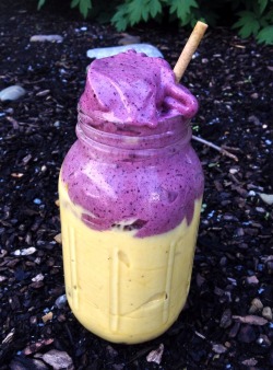 plantbasedprincess:  Mango blueberry banana ice cream 