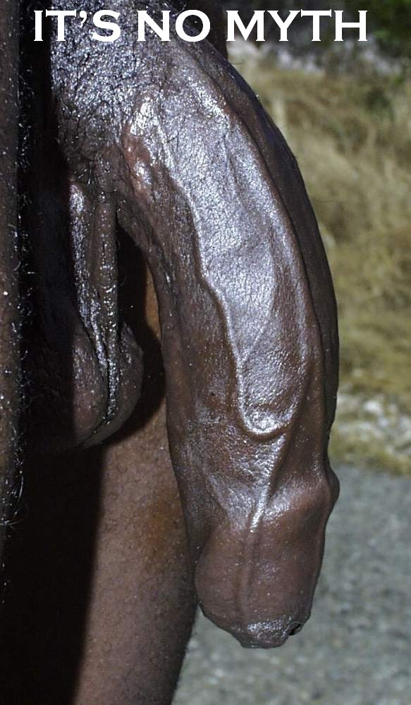 Big black uncut dick cock penis pictures