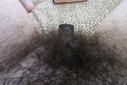 http://velter1.tumblr.com/post/101279472852