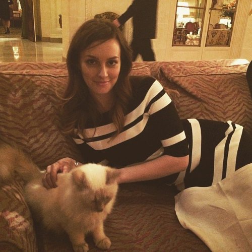 yourcatwasdelicious:leighton meester 