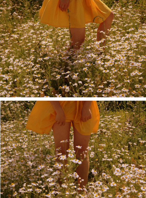 babyheroin:I took this of my best friend’s legs in a field of daisies we found accidentally while bi