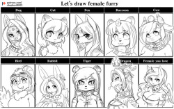  Let’s draw female furry  the original