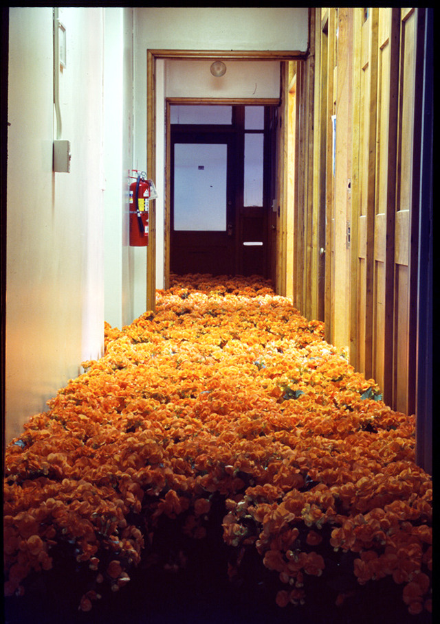 dappledandmisty:  afarewelltostellablue:  punk-arts:  28,000 Potted Flowers Installed