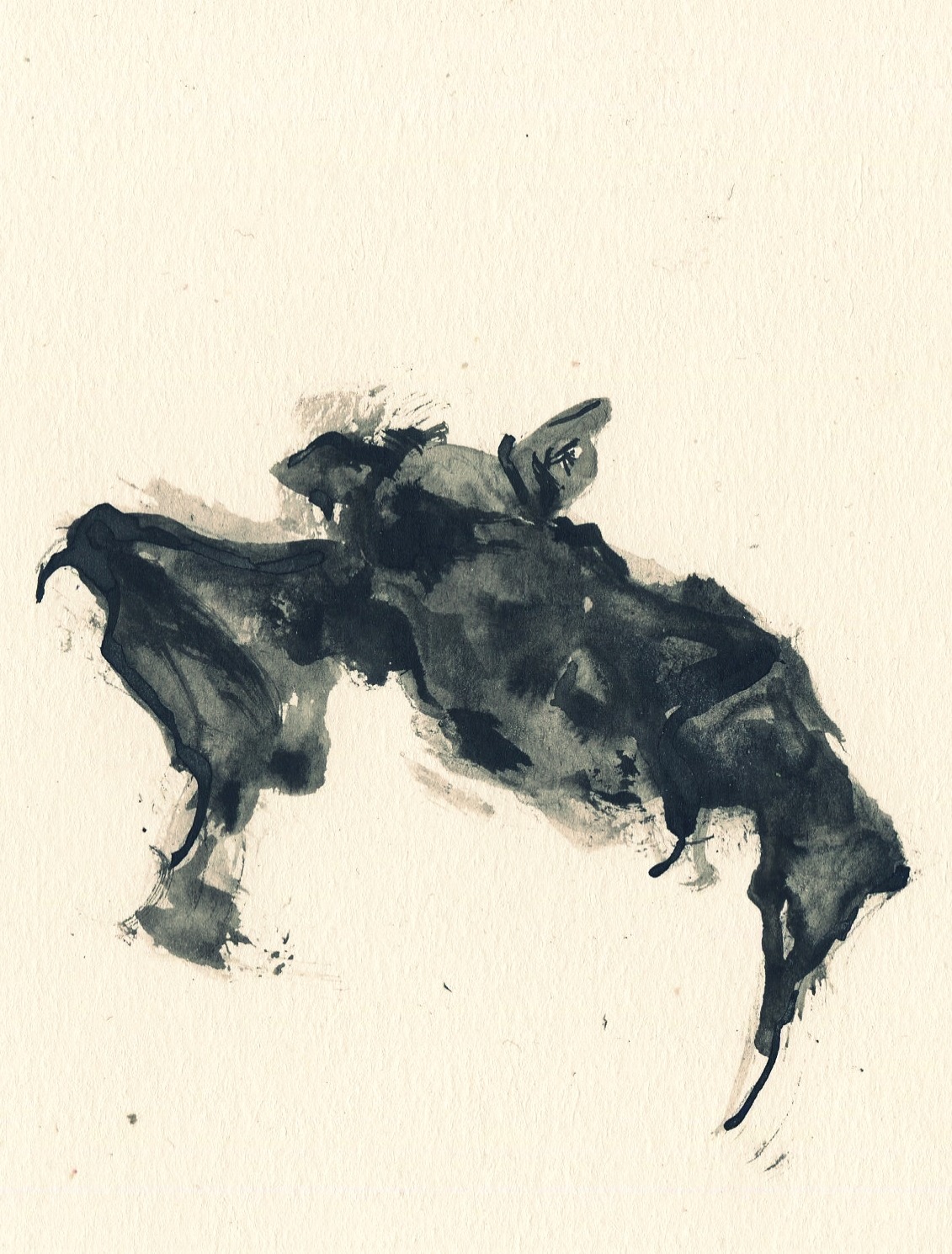 st-pam:Dead bat, 2017 Ink