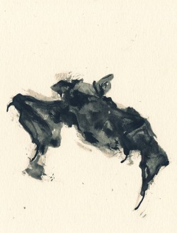 st-pam:Dead bat, 2017 Ink