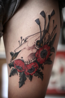 Fuckyeahtattoos:  Tattoo And Photograph By Alice Carrier At Anatomy Tattoo In Portland,