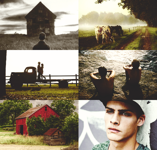 awhoreslies:T h e   B a r n s was Ronan’s family business, and family was private.