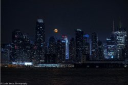 cityneonlights:  City Lights by Linda Karlin `cityneonlights