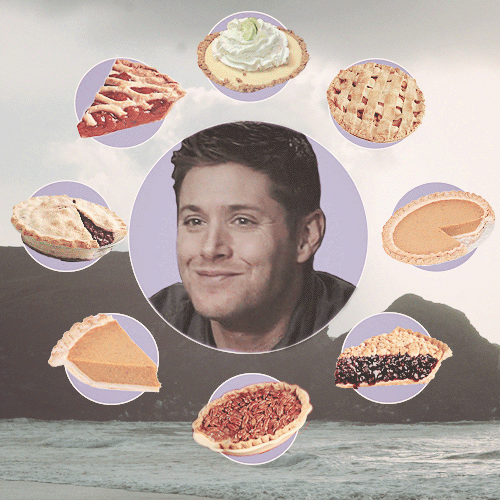 queenabaddon:cas with cats / sam with dogs