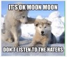 silvergryphon:tokenofmydevotion:feral-flower-child:feral-flower-child:feral-flower-child:callingallcars:callingallcars:everyone’s debating posts of the decade, best and worst, and i have yet to see anyone mention moon moonfor those who were not on here
